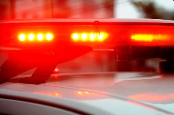 Homem é morto a pauladas e assassino fica com o corpo dentro de casa em SC