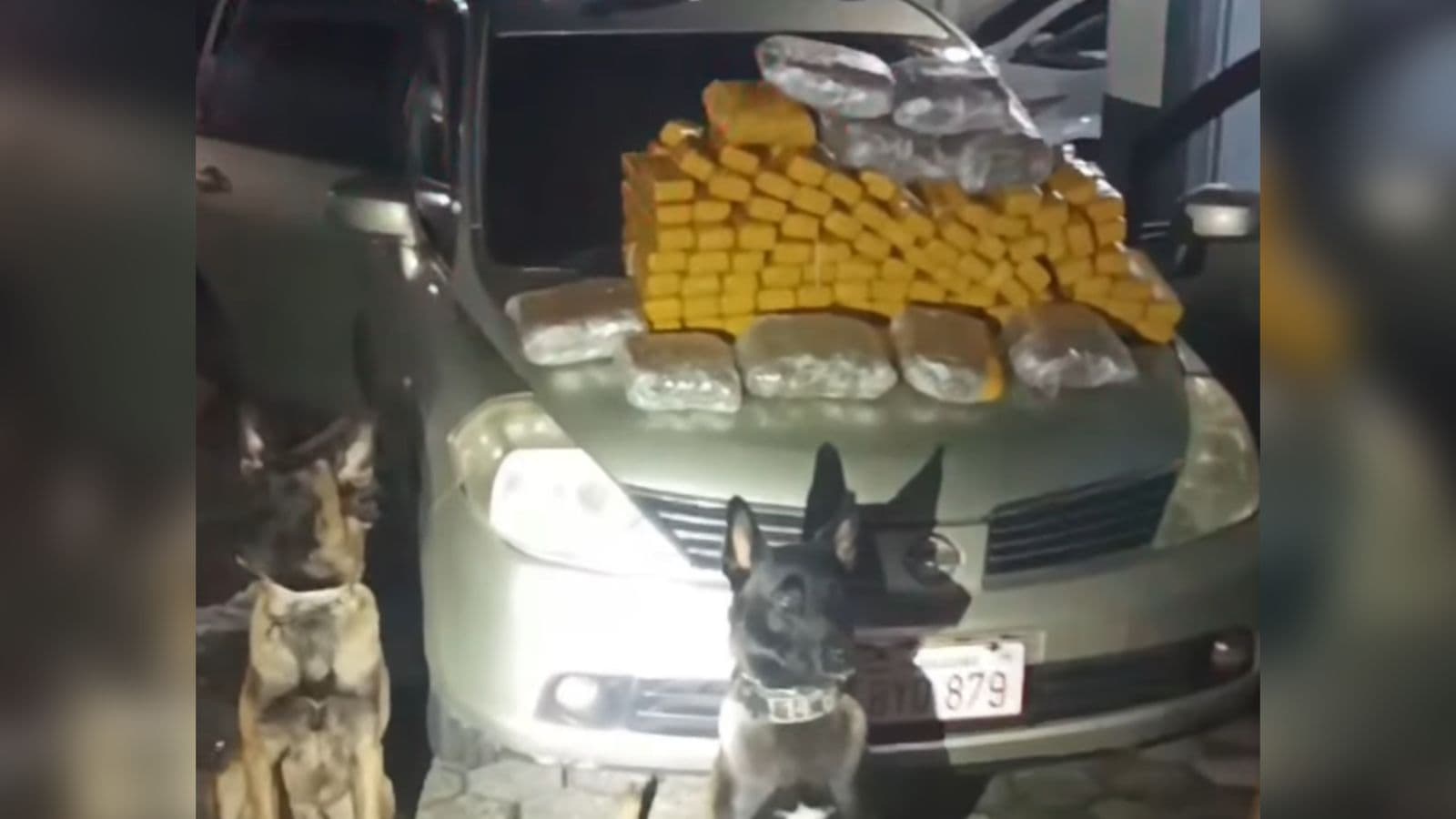 Polícia desmonta carro de casal com criança e encontra R$ 200 mil em drogas em SC