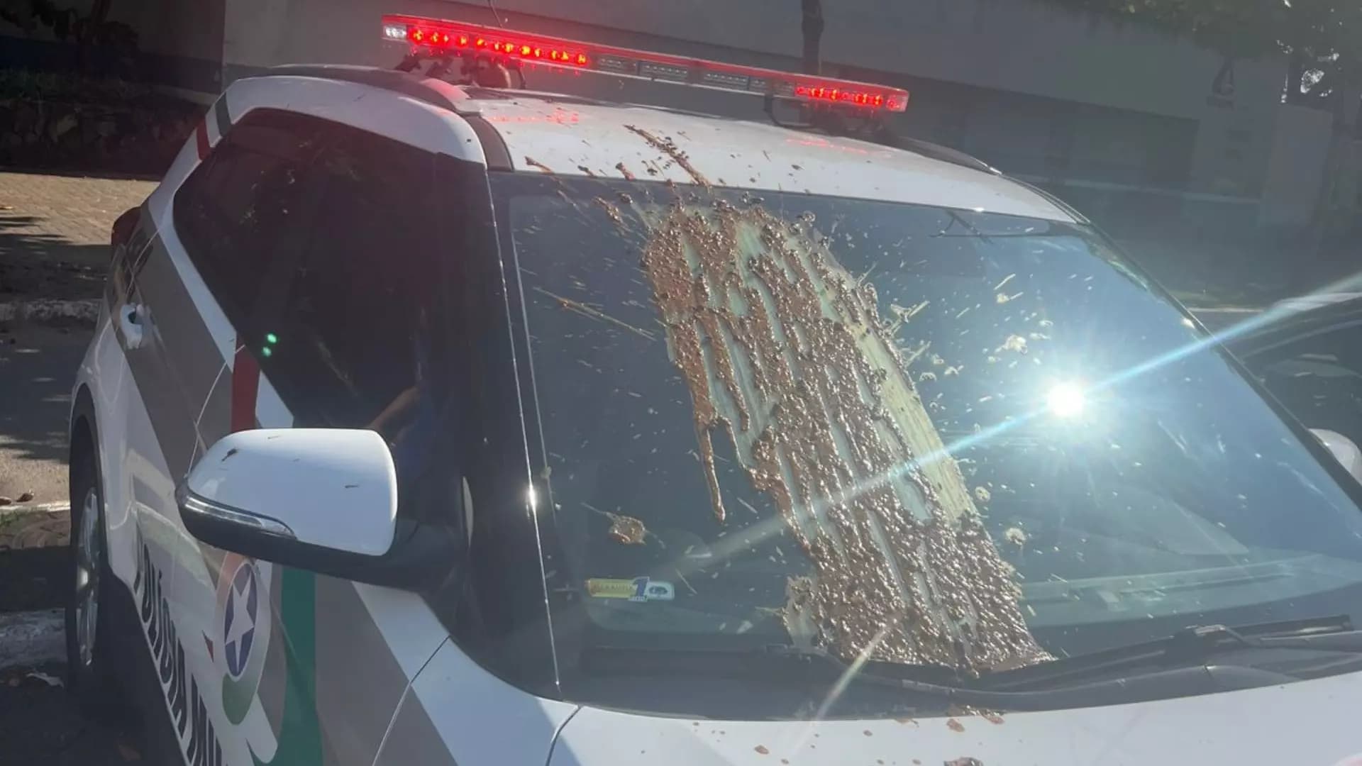 Morador de rua carimba viatura da PM durante operação em Santa Catarina