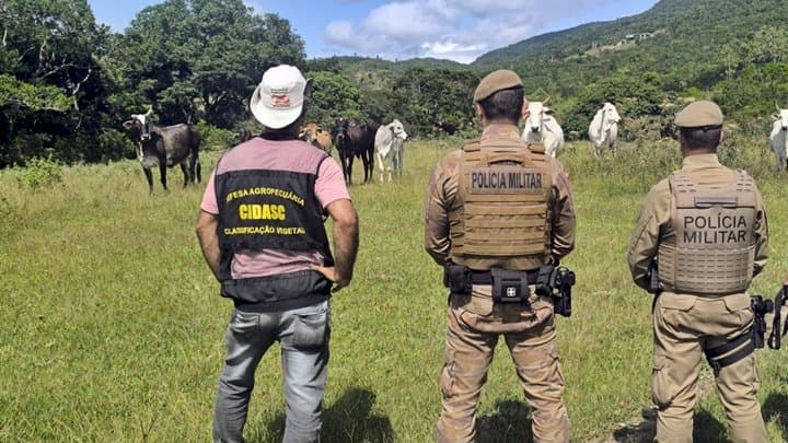 Operação Quaresma reforça combate à farra do boi em Santa Catarina