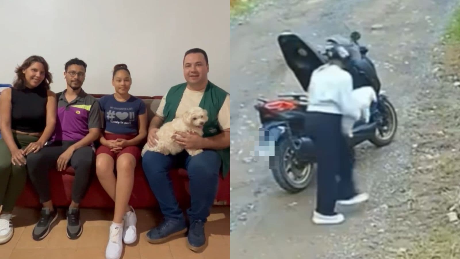Cachorrinha que correu atrás da tutora após ser abandonada é resgatada em Barra Velha