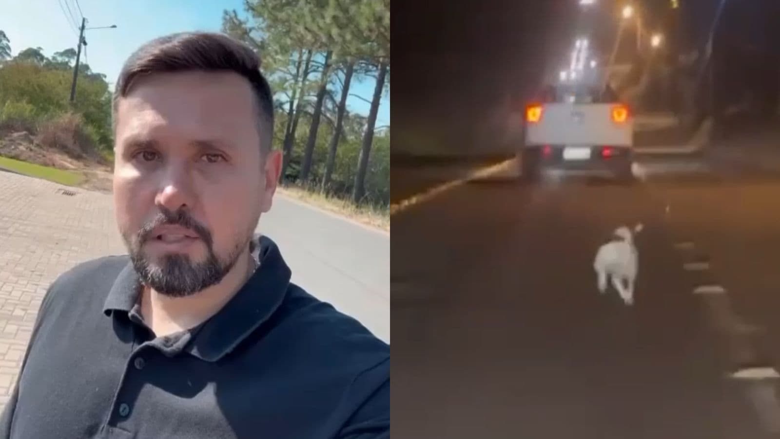 Delegado esclarece caso de cão visto correndo atrás de carro em rodovia de SC