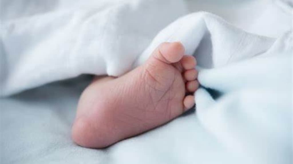 Bebê morre com fígado rompido e lesões suspeitas de abuso; mãe e padrasto estão presos em SC
