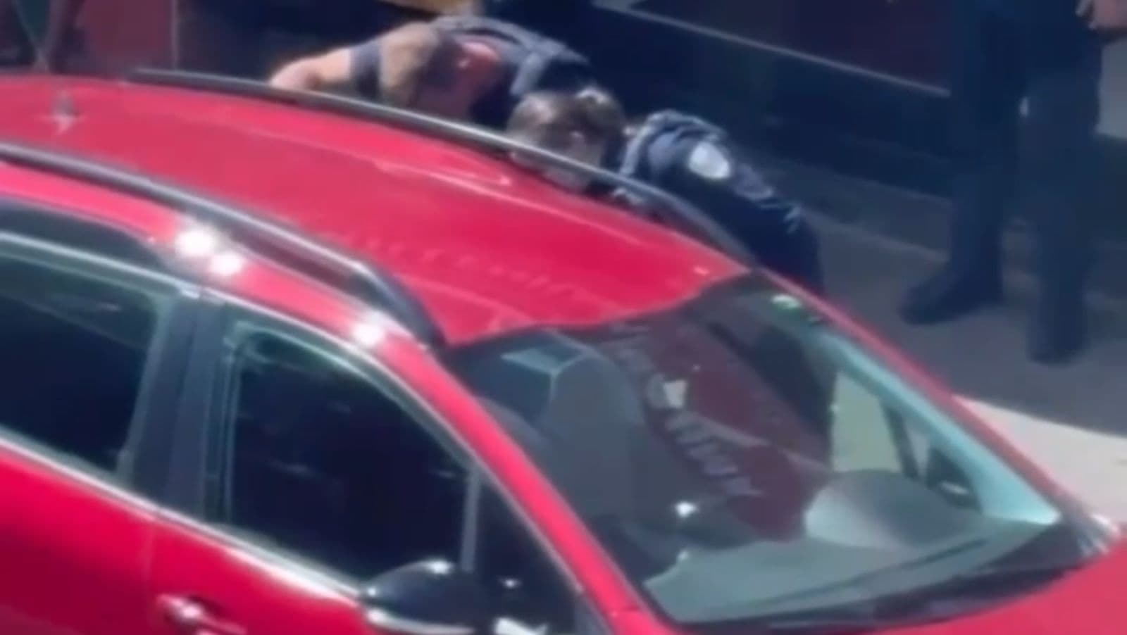 Cachorro é regatado pela Guarda Municipal dentro de veículo sob forte calor em Joinville