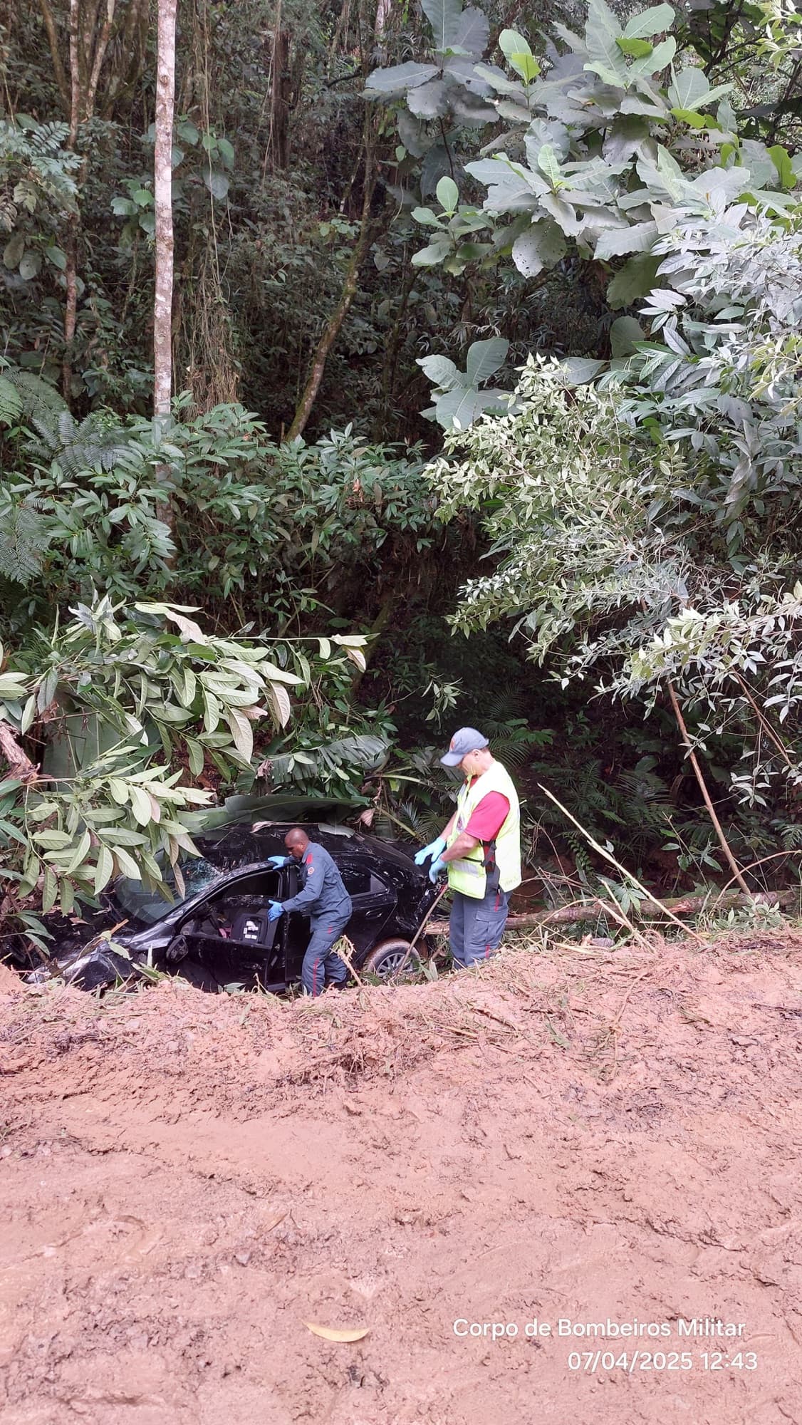 Família escapa ilesa após carro despencar de ribanceira em Blumenau