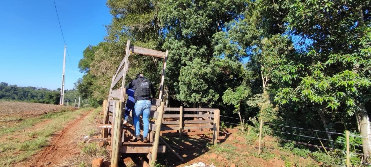 Operação flagra uso de agrotóxico proibido e suspeita de contrabando de gado na fronteira com a Argentina