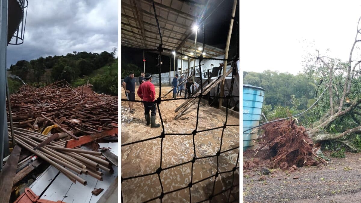 Temporal com ventania e granizo causa destruição em cidades do Oeste de SC
