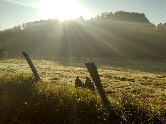 Sol aparece no feriado: domingo de Páscoa será de temperaturas amenas em SC