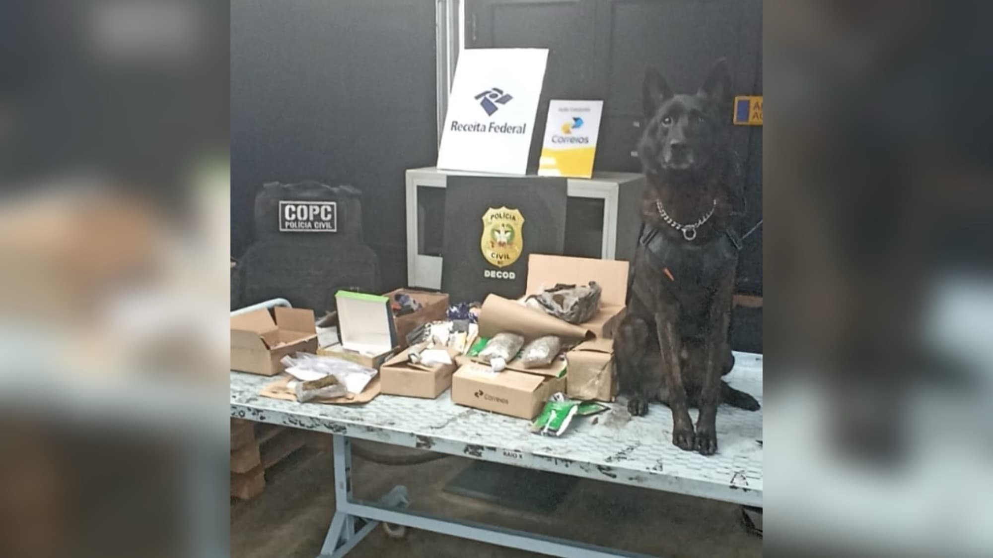 Drogas enviadas pelos Correios são apreendidas em operação da Polícia Civil em Florianópolis
