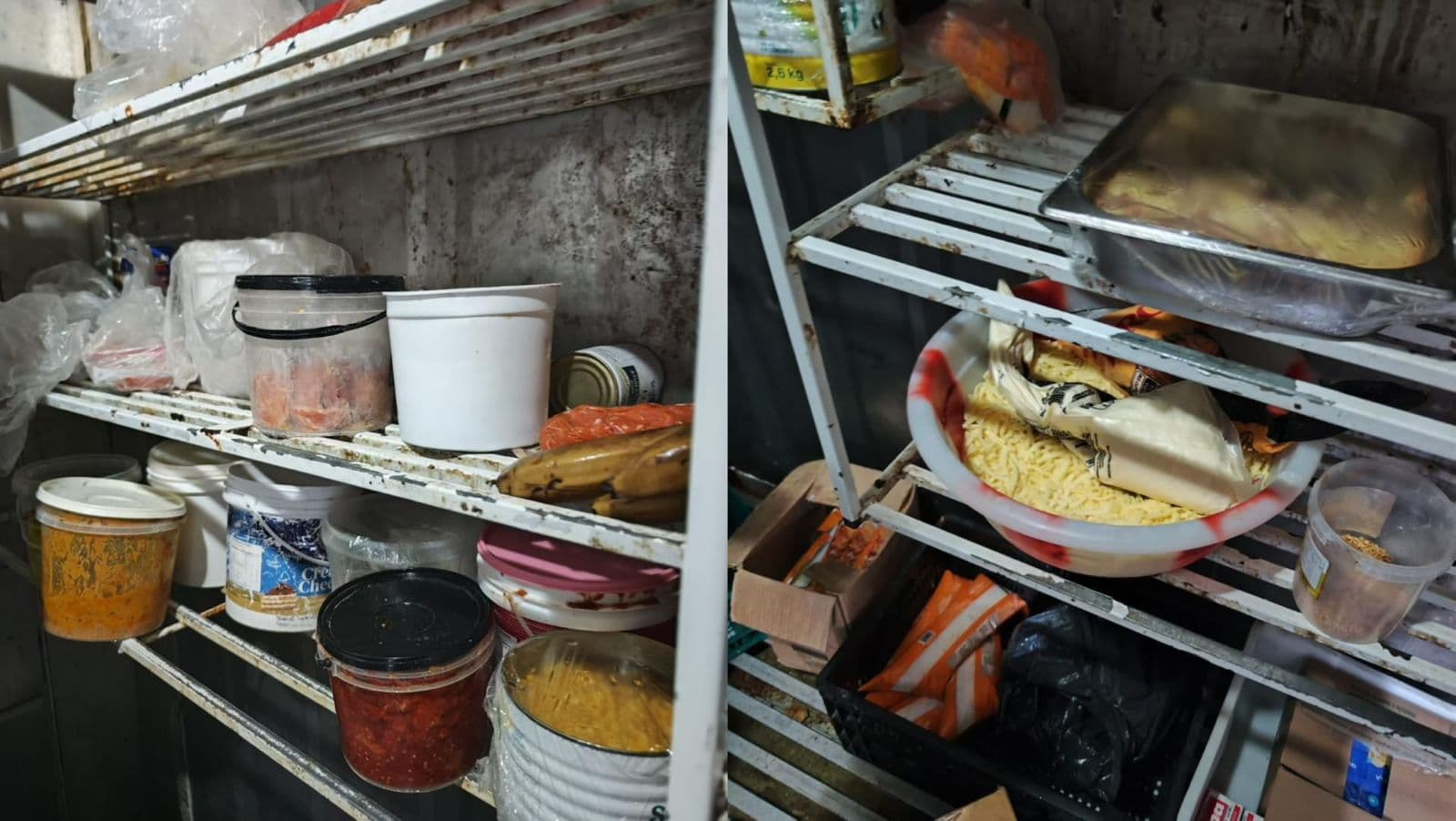 “Tinha barata e moscas”: Padaria é interditada após venda de produtos mofados e vencidos em Itapema