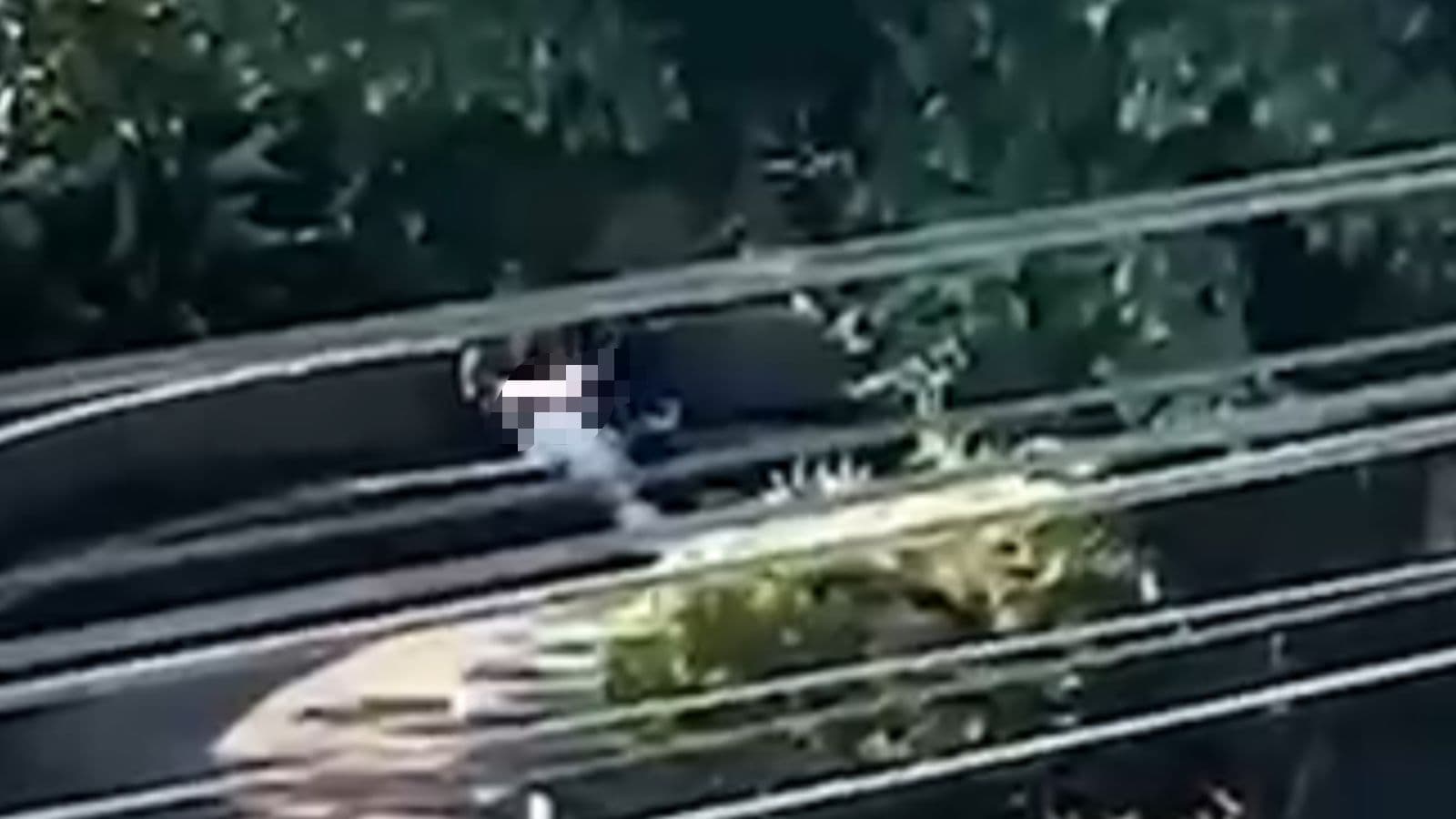 “E se tivesse uma criança ali?”: flagrante revoltante acende alerta na Grande Florianópolis