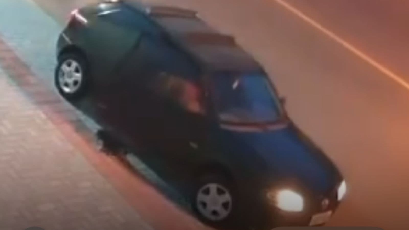 “CRUELDADE”: Motorista abandona cãozinho, atropela e foge sem olhar pra trás em SC