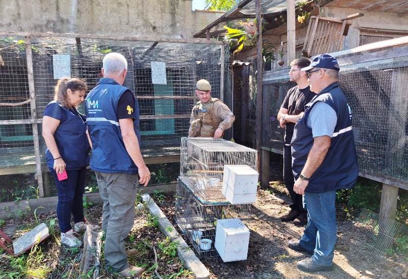 Fiscalizações em Santa Catarina resgatam mais de 230 animais silvestres em abril