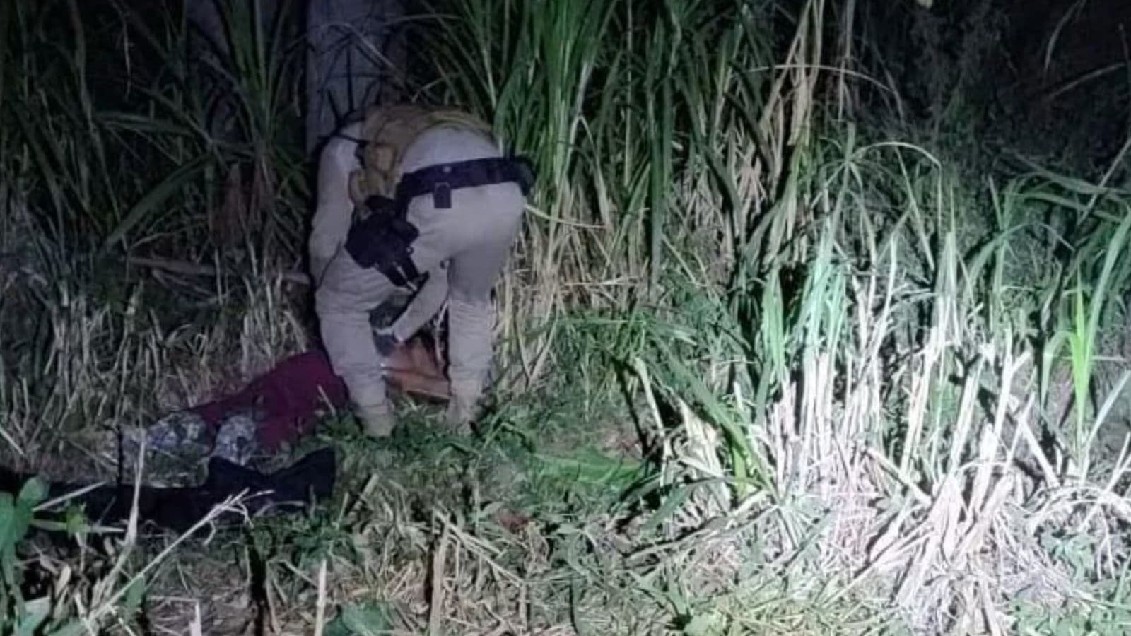 “Iria estuprá-la”: ex arrasta mulher para área de mata e polícia a encontra desacordada