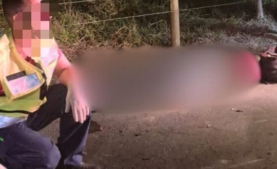 Motociclista morre ao colidir com cavalo na zona rural de Tijucas