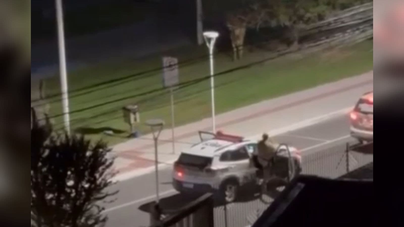 Policiais são atacados com pedradas durante Farra do Boi em Santa Catarina