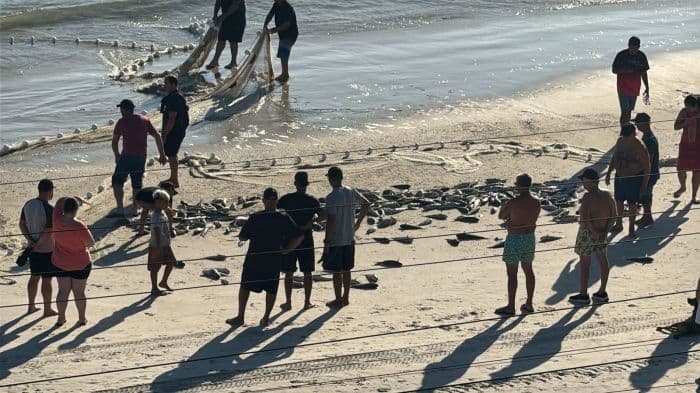 Primeiro lanço de tainha em Bombinhas marca início oficial da pesca em SC