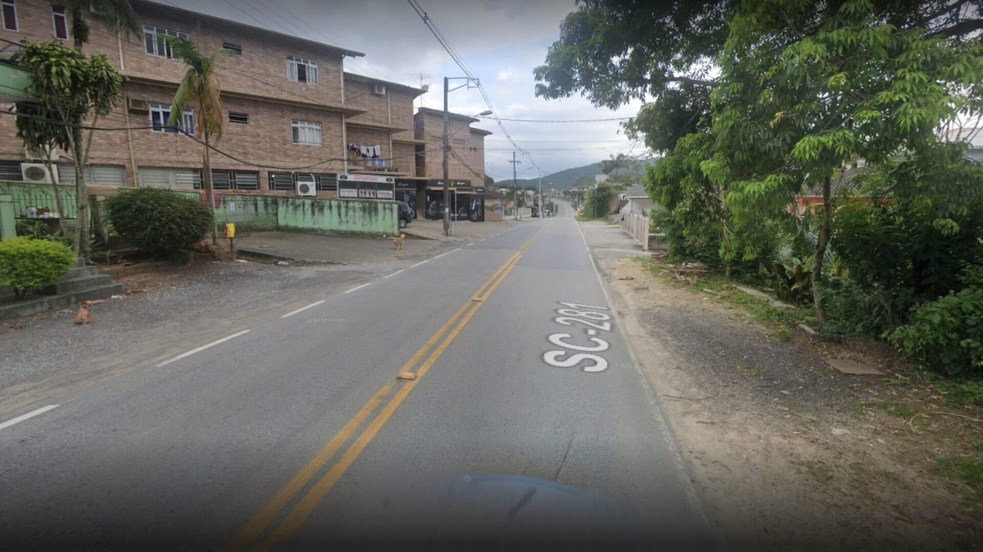 Idosa de 63 anos é atropelada e morta em curva da SC-281, em São José