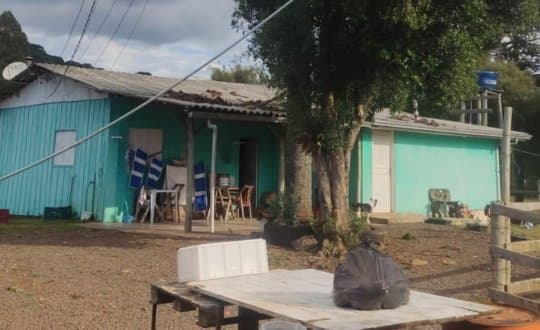 Homem morre eletrocutado ao colher pinhão com haste metálica em SC