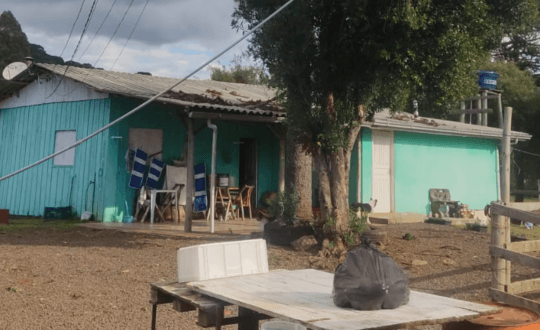 Homem morre eletrocutado ao colher pinhão com haste metálica em SC