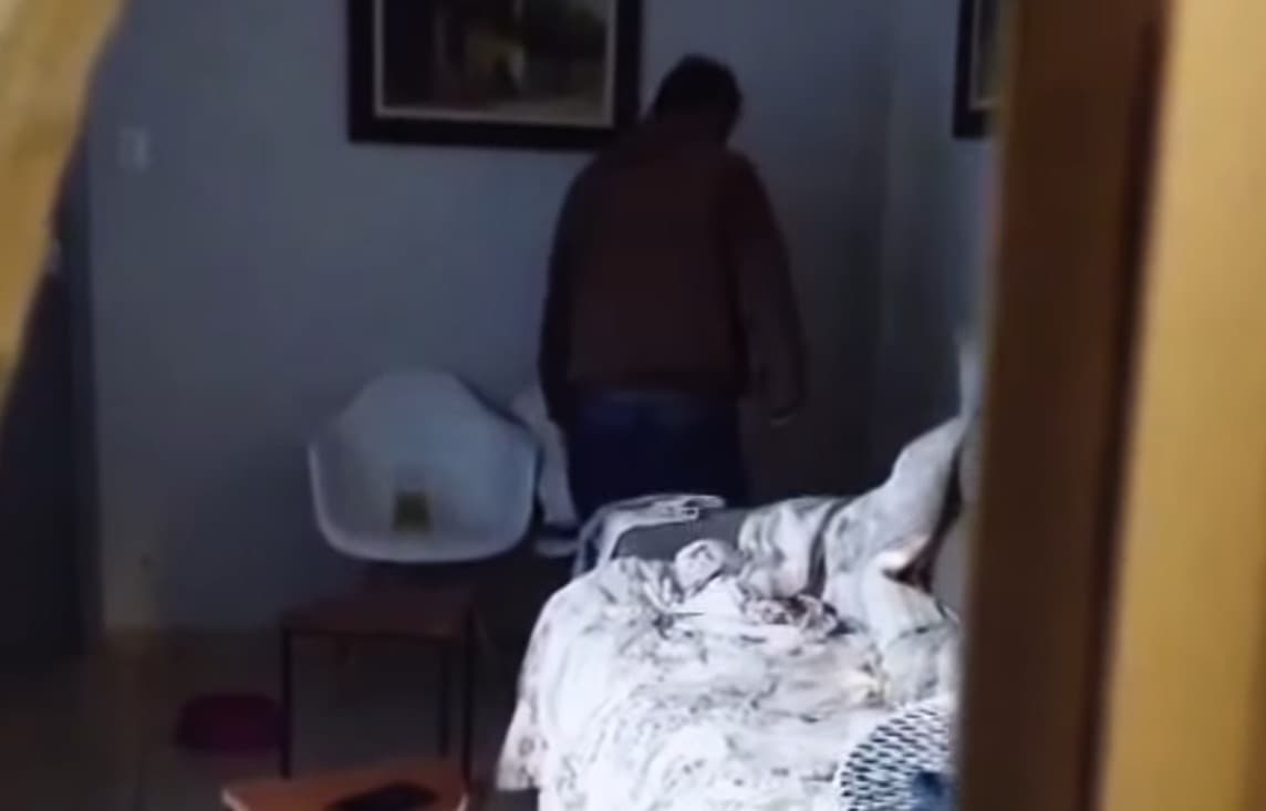 IMAGENS FORTES: Pit Bull é espancado e tutor acaba preso em Balneário Camboriú