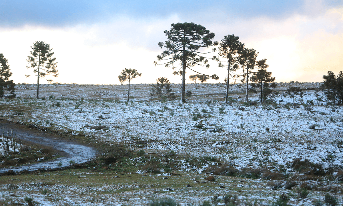 Massa de ar polar derruba temperaturas em SC e pode trazer neve nos próximos dias