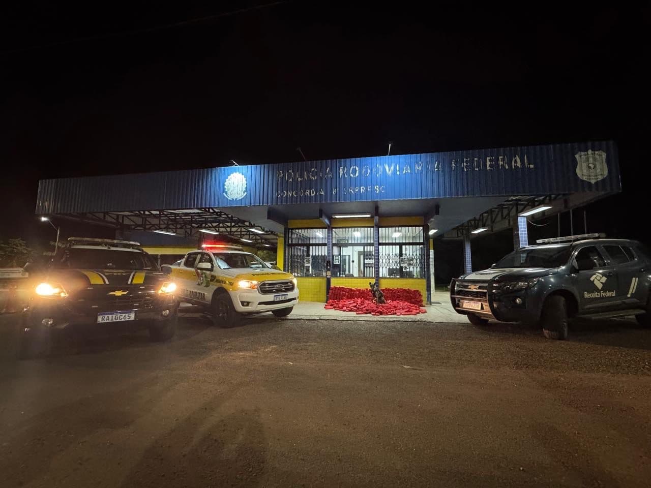 Cães farejadores encontram mais de meia tonelada de maconha escondida na BR-153
