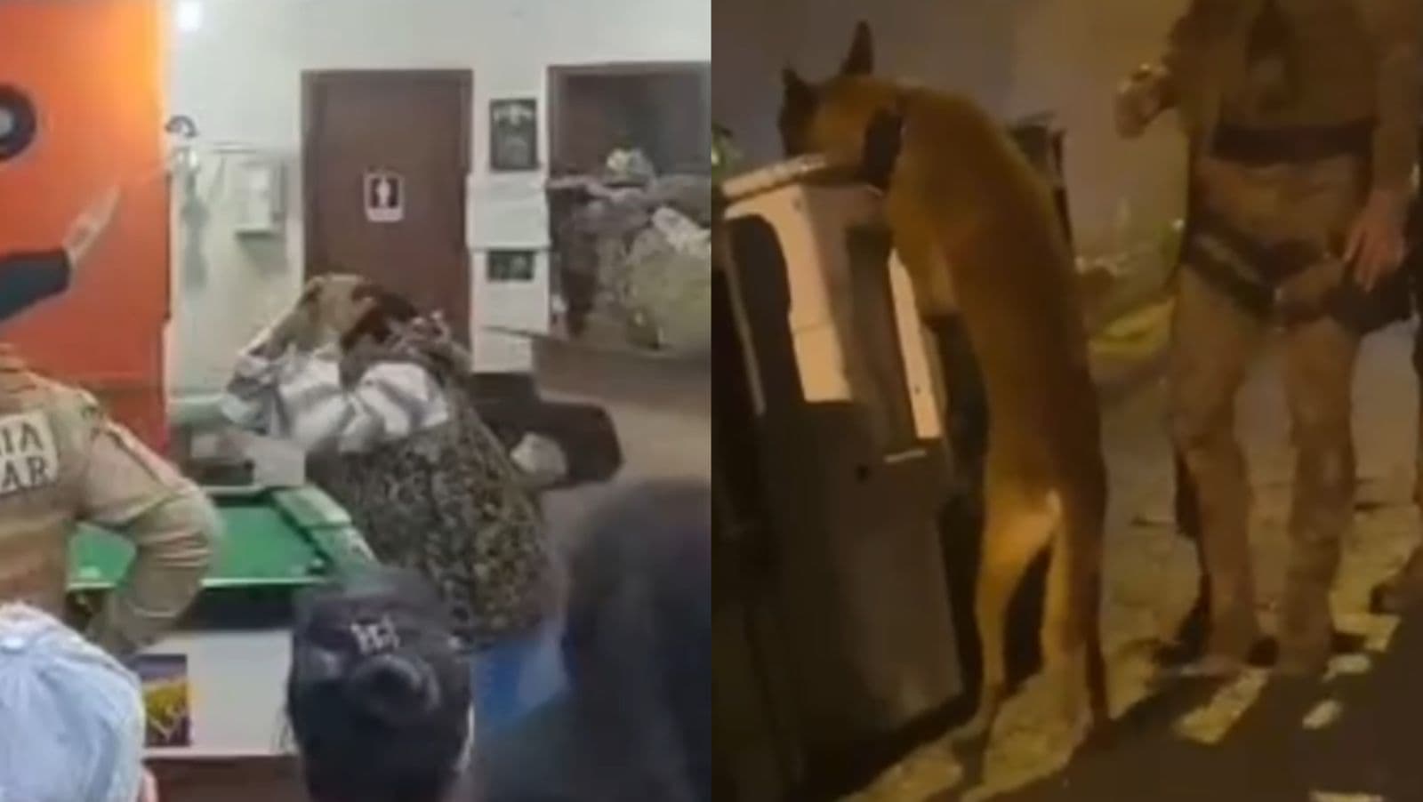 Após flagra de “gato” em bar de Floripa, PMSC volta com “cachorro” e flagra tráfico