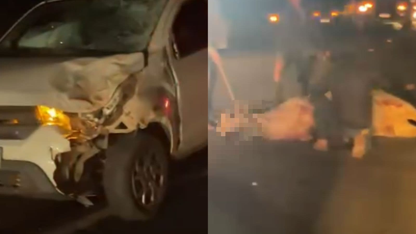 Carro fica destruído e motorista ferido após bater em boi na SC-410, em Canelinha