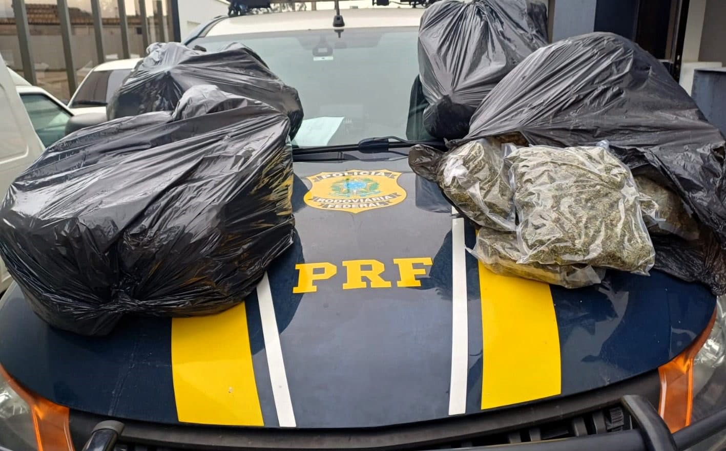 PRF intercepta carro e encontra quase 50 kg de skunk no porta-malas na BR-101