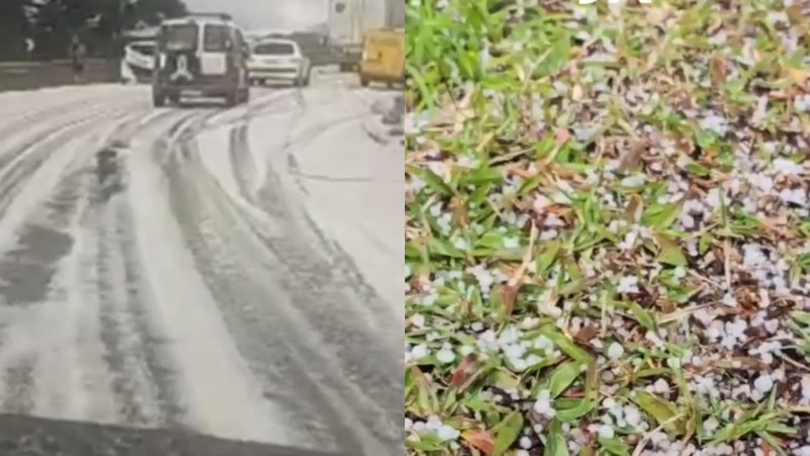 “Tudo branquinho”: dias após nevar em São Joaquim, cidade volta a ficar tomada por gelo