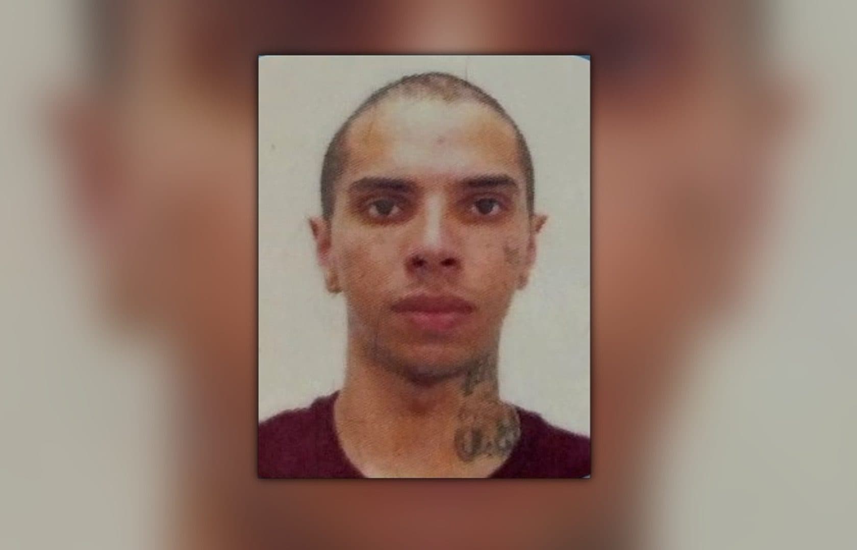 Motociclista morre na hora ao bater em carreta na BR-480