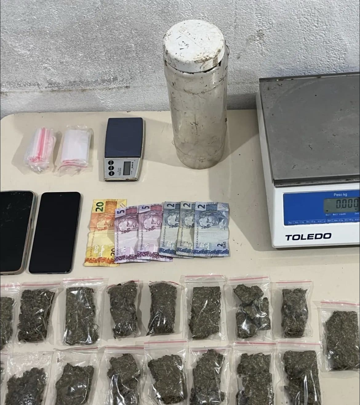 Cão farejador desenterra meio quilo de maconha em morro de Itapema