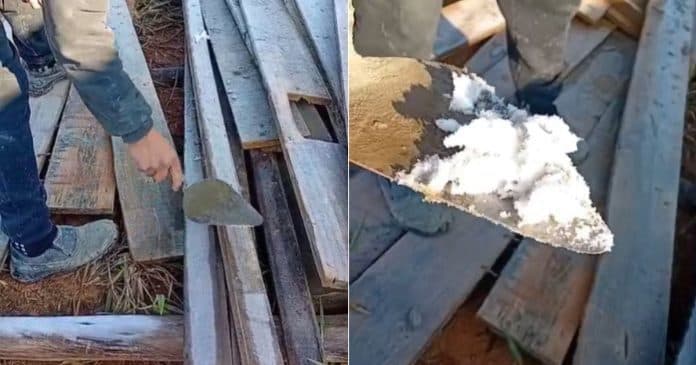Morador retira gelo com espátula durante manhã de 0,2°C em Brusque