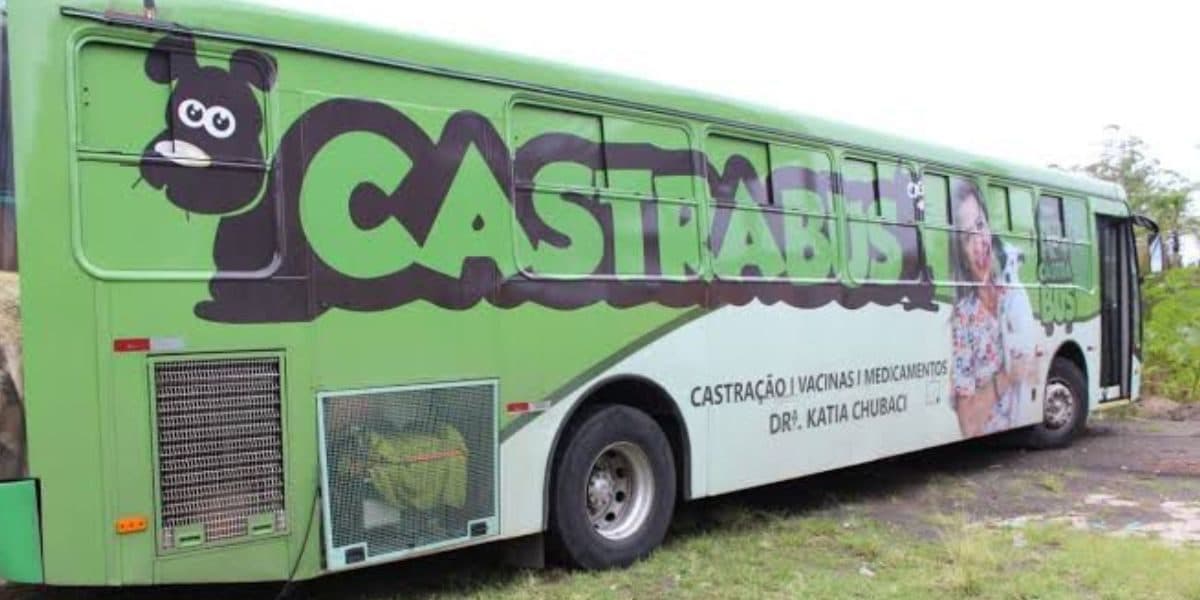 Empresa que presta serviços para Prefeitura de Florianópolis frustra 150 famílias e animais, que esperavam por castração 