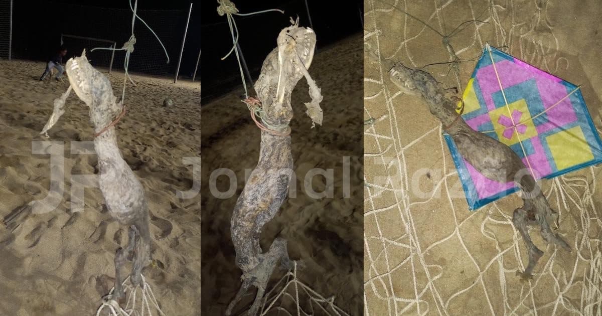 Jovens encontram cena macabra na Praia de Tijucas: “enforcado numa pipa”