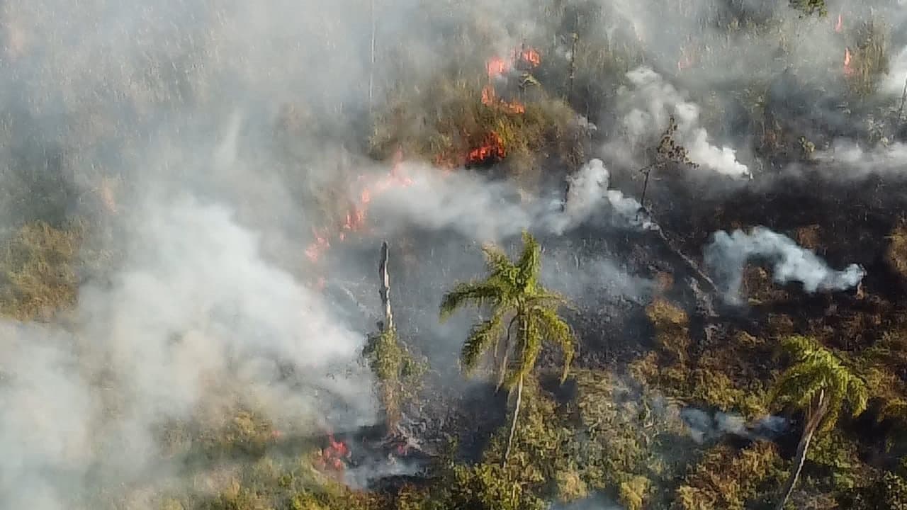 Fogo se espalha em área de 2 mil m² em Porto Belo e ameaça galpão