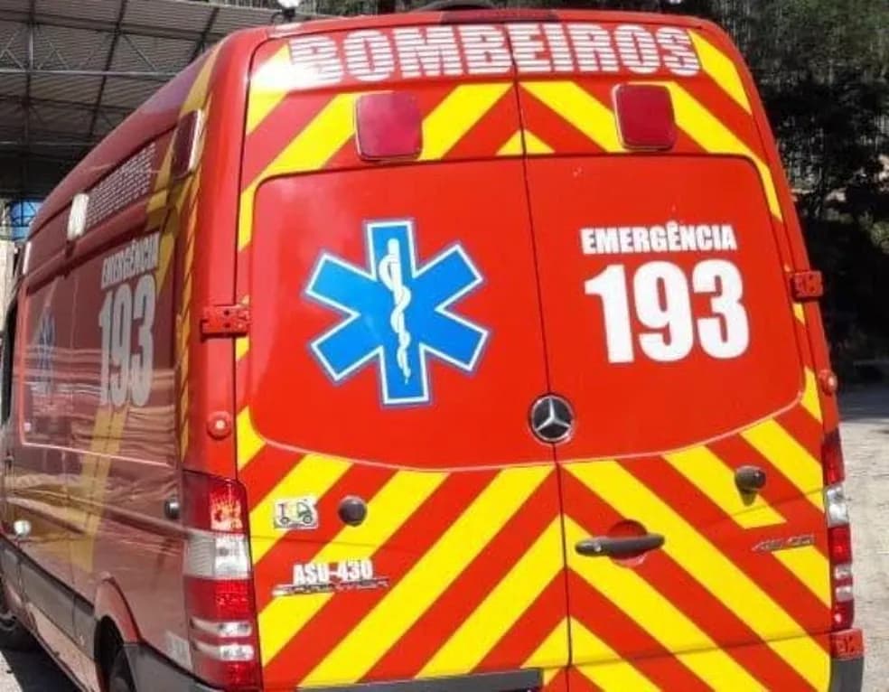 Idosa de 67 anos é atacada por cachorro em Tijucas