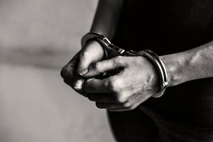 Jovem é preso após matar animais de estimação e ameaçar mãe e irmã de morte em SC