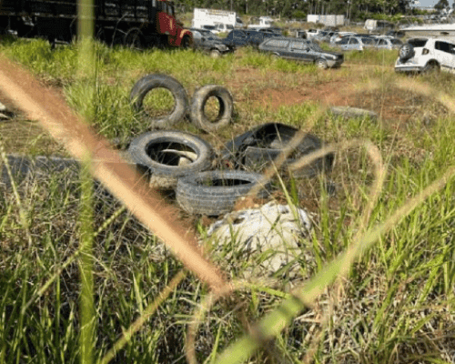 Justiça condena empresa por pátio que servia de criadouro da dengue em Porto Belo