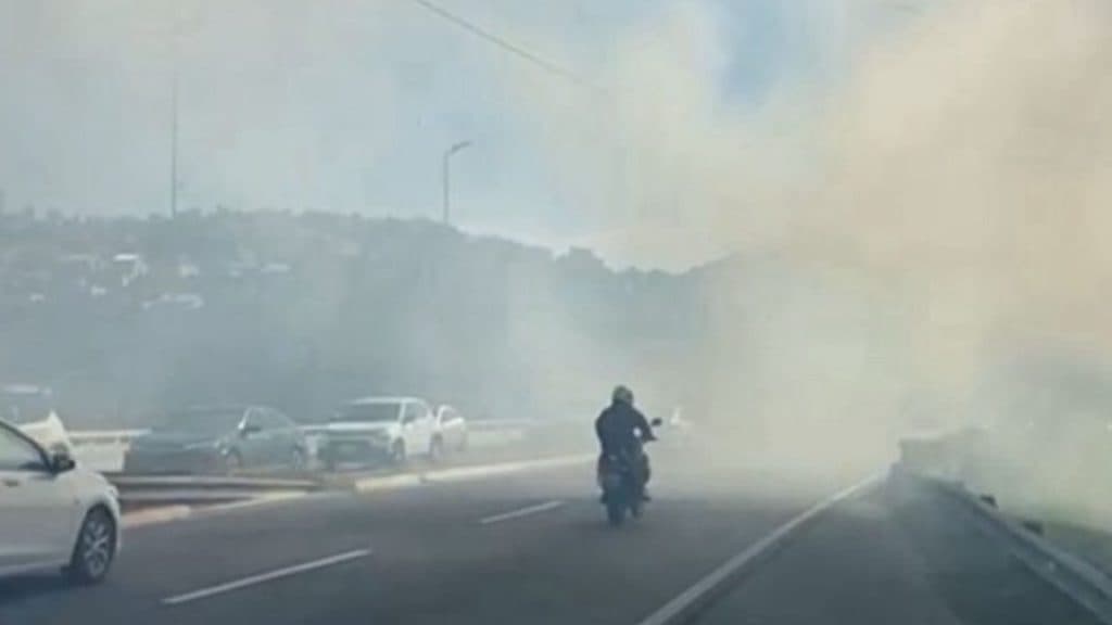 Incêndio em área de vegetação mobiliza bombeiros e exige atenção redobrada de motoristas na BR-101