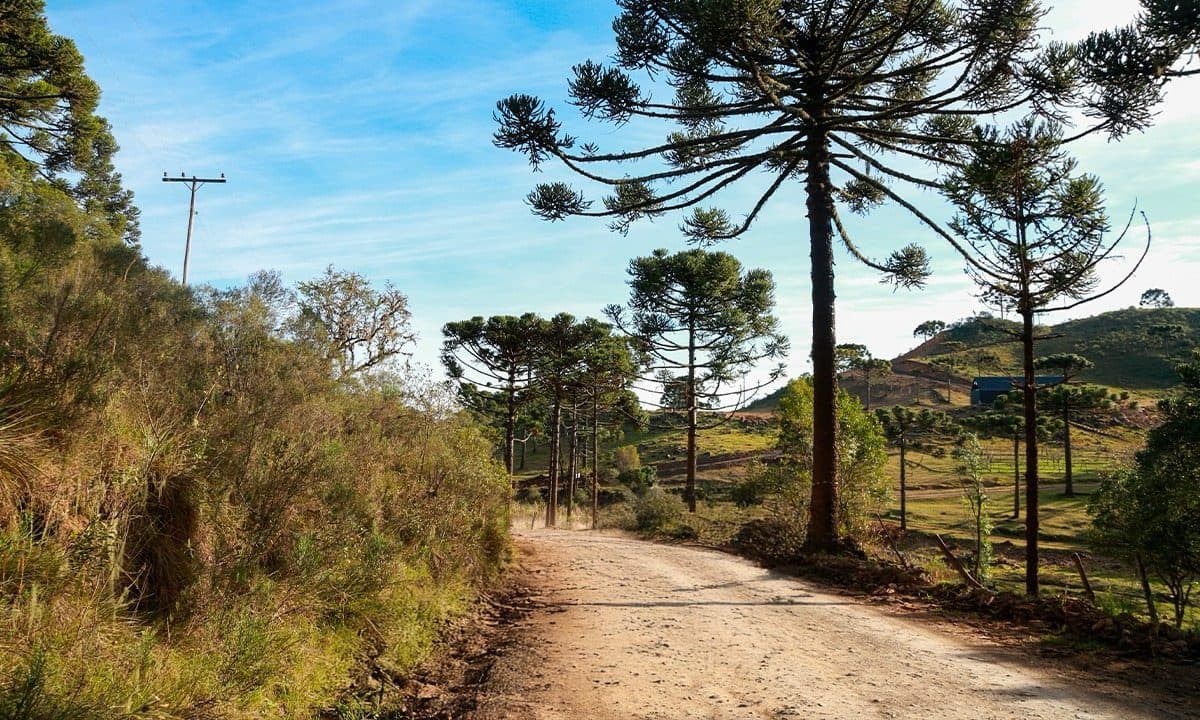 Frio não dá trégua nas manhãs de SC, mas tardes seguem com cara de verão