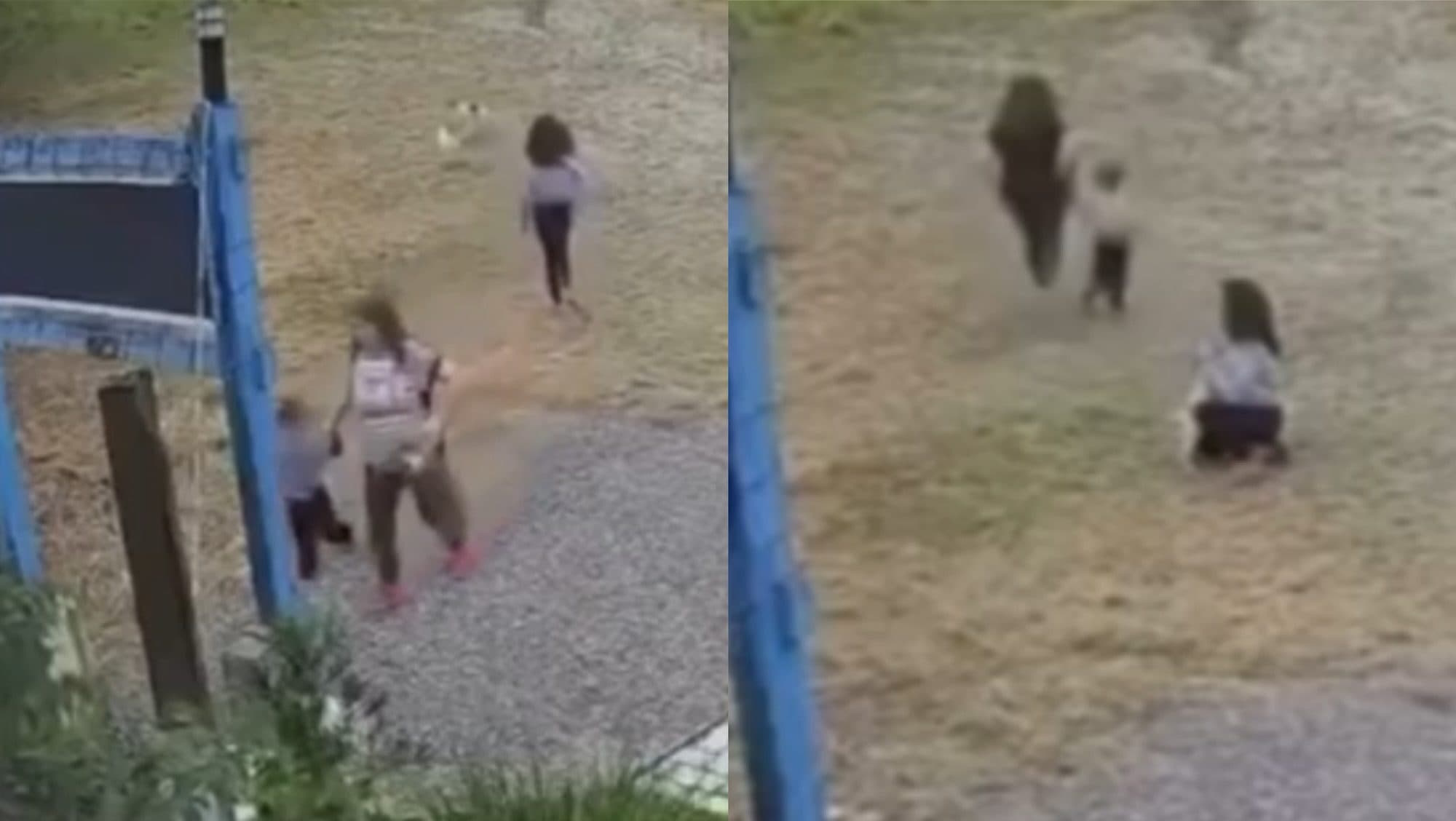 “Mãe” leva crianças para abandonar cachorrinho em Florianópolis