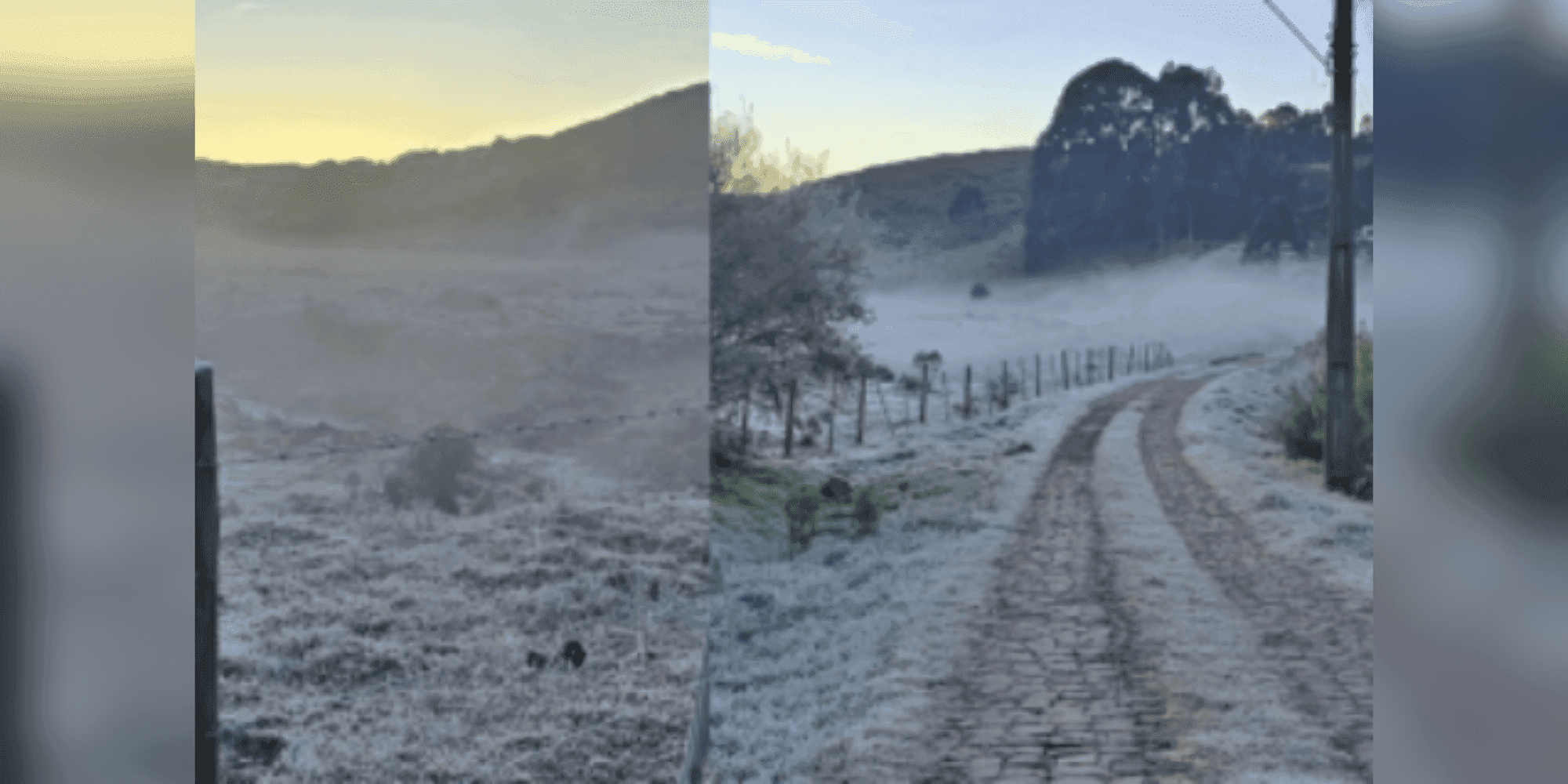 Geada e temperaturas negativas marcam manhã gelada em Santa Catarina nesta quarta (30)