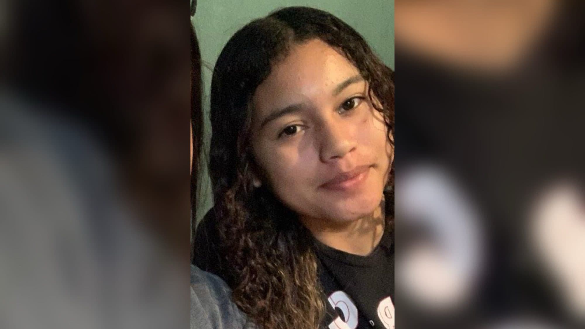 Menina de 14 anos desaparecida há 10 dias deixa família em pânico na Grande Florianópolis