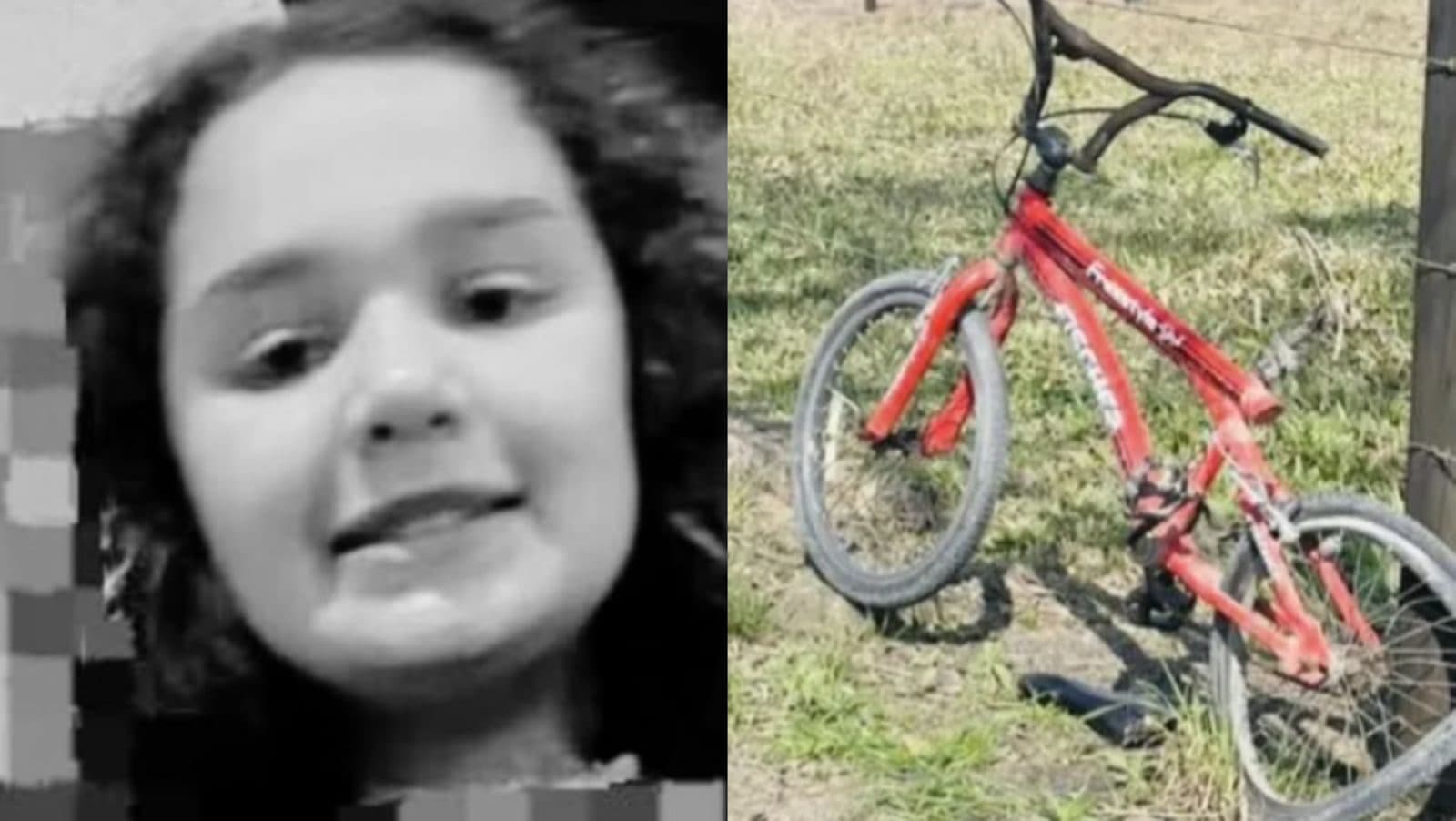 “Tristeza”: menina de 12 anos que morreu após atropelamento voltava do mercado em SC