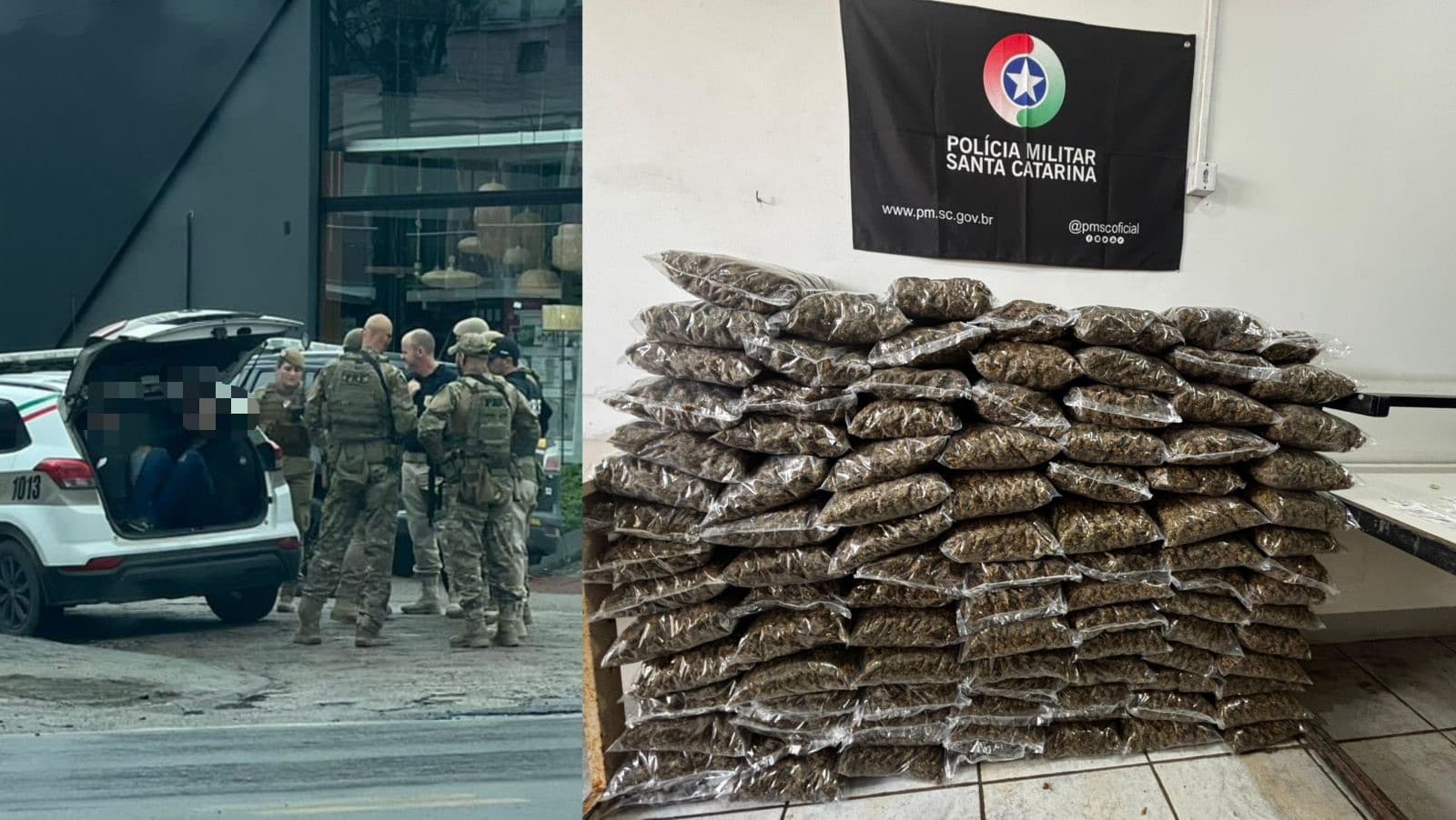 “Sem maconha de playboy”: PMSC e PRF prendem traficantes com 100 kg de skunk
