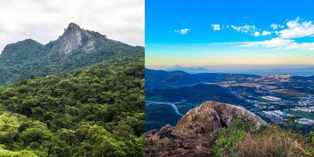Morro da Pedra Branca será vendido por R$ 5,5 milhões? Anúncio surpreende em SC