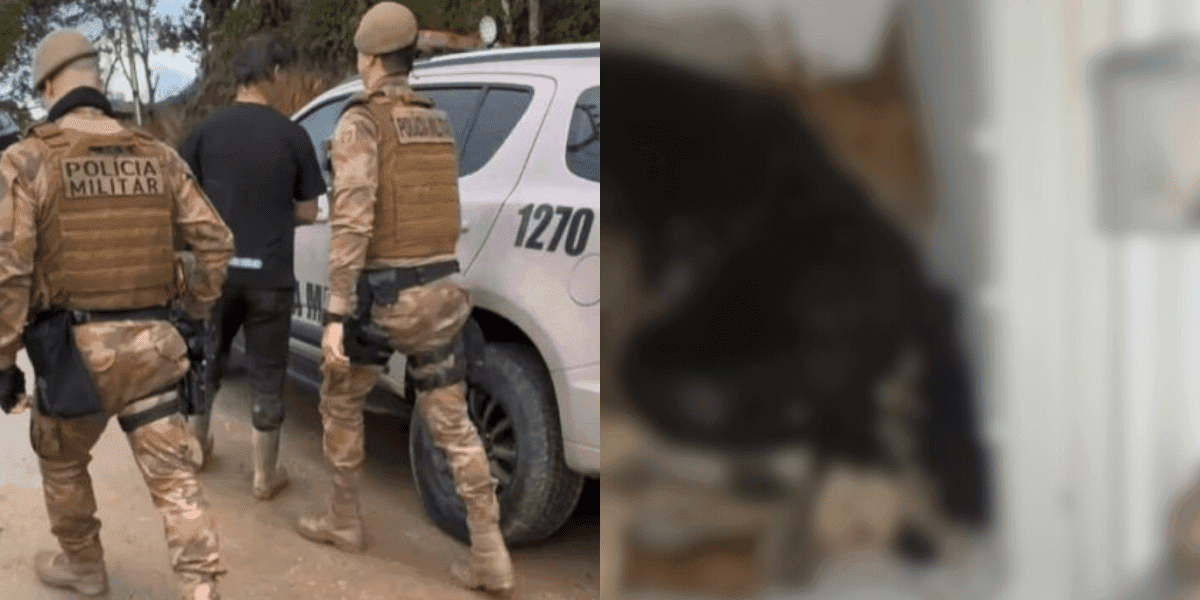 Defesa revela o motivo que homem congelava cachorros mortos em Biguaçu