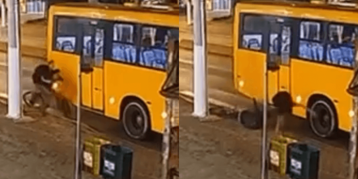 O importante é não perder o busão: adolescentes viralizam com cena inusitada de amizade raiz em SC